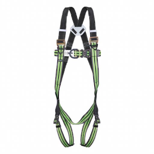 2 Point Scaffold Harness - Move 3 - FA 10 107 01