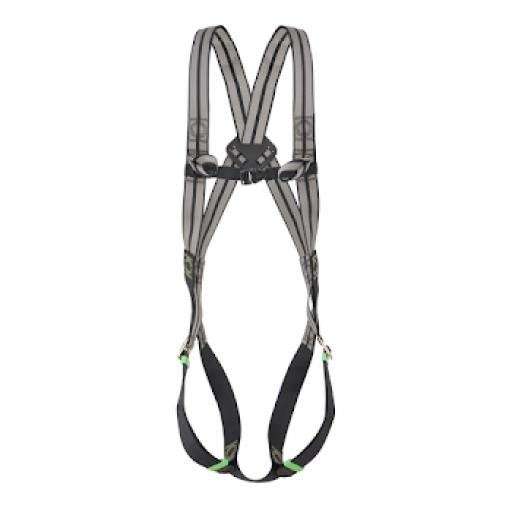 2 Point Standard Body Harness - FA 10 103 00