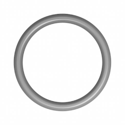 Stainless Steel Round Rings - SSRR